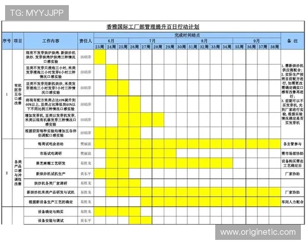 丽波真人测试操作流程详解，步骤清晰帮助新手快速上手的实用教程